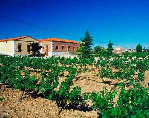 Bodegas Alin  owned by Bodegas Vega Sicilia  Peafiel Castilla y Len Spain   Ribera del Duero