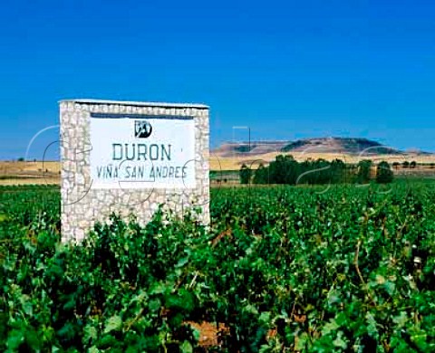 Sign in Via San Andres of Bodegas Duron  near La Horra Castilla y Len Spain  Ribera del Duero