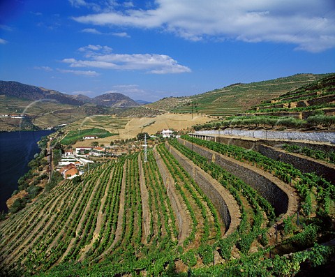Taylors Quinta de Vargellas high in the Douro   valley east of Pinhao Portugal    Port