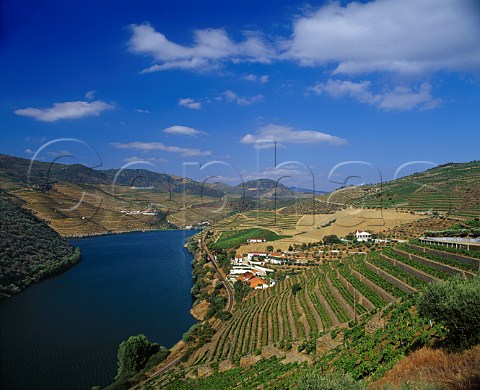 Taylors Quinta de Vargellas high in the Douro   Valley east of Pinho Portugal   Port