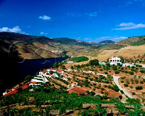 Taylors Quinta de Vargellas high in the Douro   Valley east of Pinho Portugal   Port