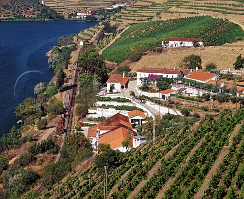 Terraced vineyards at Taylors Quinta de Vargellas   high in the Douro Valley east of Pinho Portugal  Port