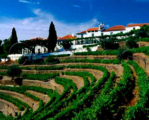 Quinta do Noval Pinhao Portugal  Douro  Port