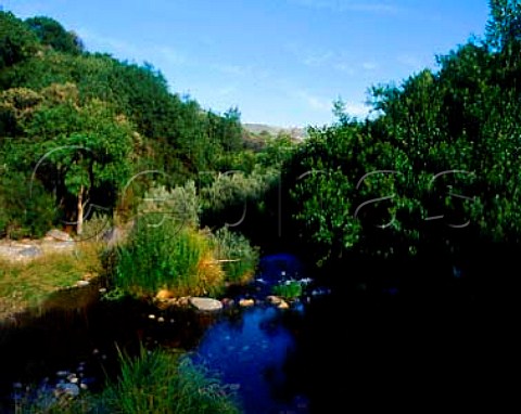 The Pinho River where it divides Taylors  Quinta da Terra Feita from Fonsecas   Quinta do Cruzeiro near Pinho Portugal  Port  Douro