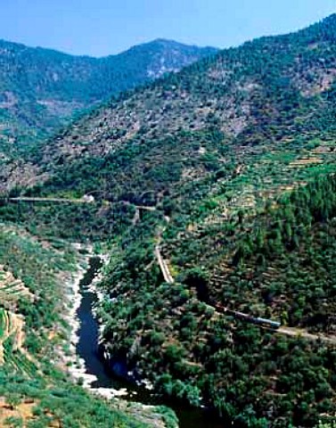 The Tua to Brangana train  which follows the Tua   River  shortly after leaving Tua at the confluence   of the Douro and Tua Rivers Portugal