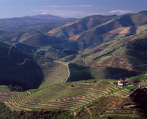 Fonsecas Quinta do Cruzeiro at Val de Mendiz near   Pinho Portugal   Port  Douro