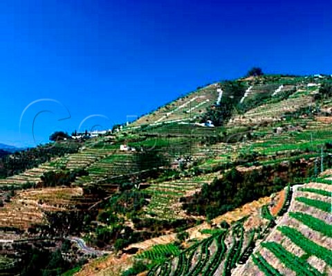 View of Quinta do Noval from the terraced vineyards   below Casal de Loivos near Pinho Portugal   Port  Douro