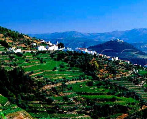 Village of Casal de Loivos above terraced vineyards   near Pinho Portugal  Port  Douro
