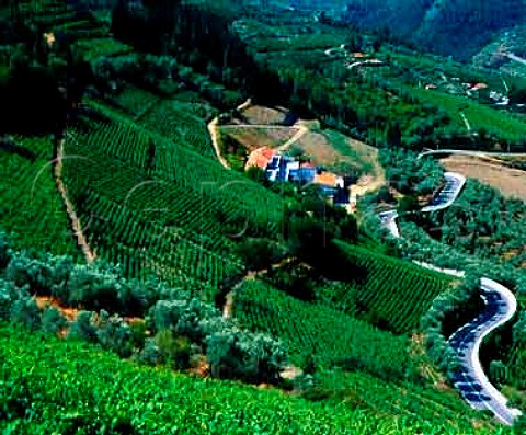 Quinta de Gaivosa  owned by Domingos Alves e Sousa    near Santa Marta de Penaguiao Portugal    Douro