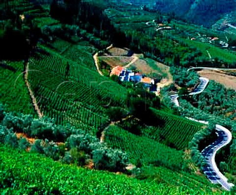 Quinta de Gaivosa  owned by Domingos Alves e Sousa    near Santa Marta de Penaguiao Portugal    Douro