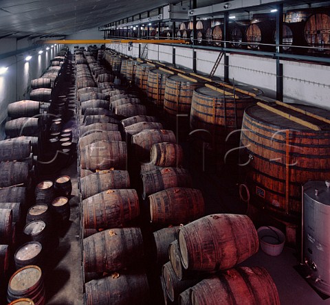 Barrel warehouse of Quinta do Noval Pinho Portugal   Port