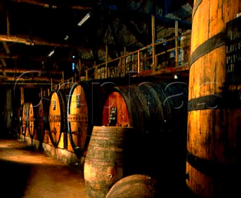 Barrel lodge of Quinta de la Rosa Pinho Portugal   Port  Douro