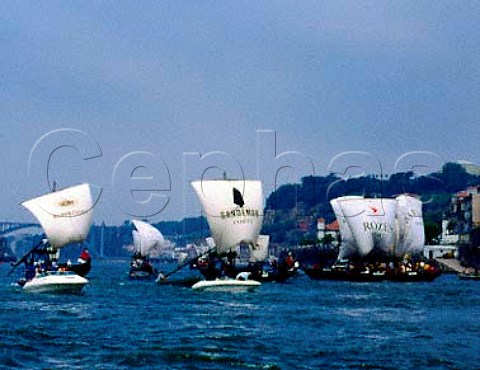 The Barcos Rabelos race held annually  StJohns Day  June 24 on the River Douro   at Porto Portugal