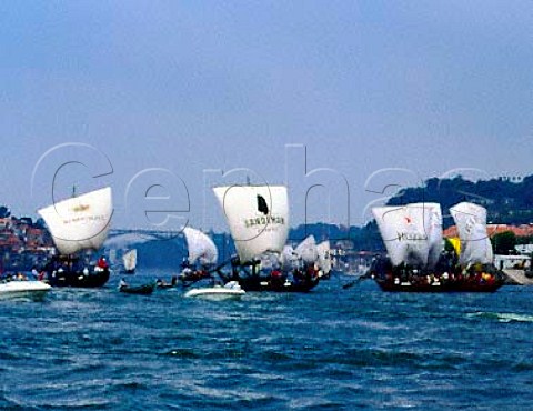 The Barcos Rabelos race held annually  StJohns Day  June 24 on the River Douro   at Porto Portugal