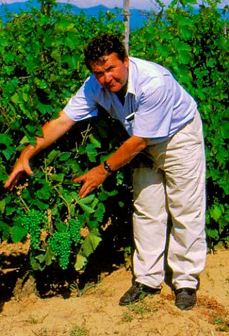 Blaze Petkov  Technical Director of the   Povardarie Winery  examining Vranec   grapes an indigenous variety   Near Negotino Republic of Macedonia