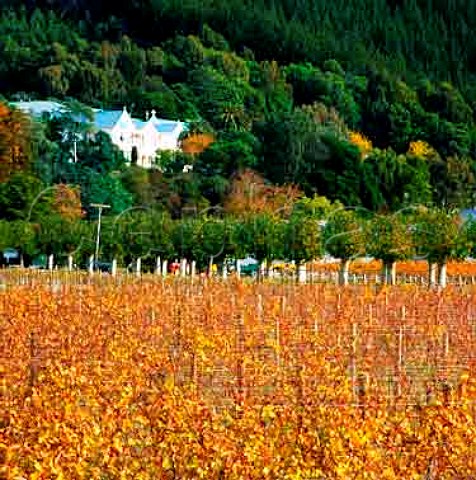 Mission Estate Winery Taradale New Zealand   Hawkes Bay