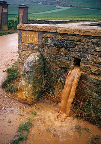 Torrential harvest time rain flowing from drainage channel in wall of RomaneConti vineyard VosneRomane   Cte dOr France  Cte de Nuits
