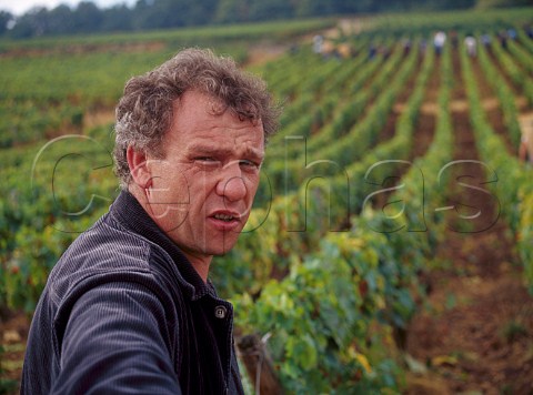 JeanMarie Guffens of ngociant company Verget in the Domaine dArdhay vineyard on the hill of Corton from where he is buying Chardonnay grapes  AloxeCorton Cte dOr France     CortonCharlemagne