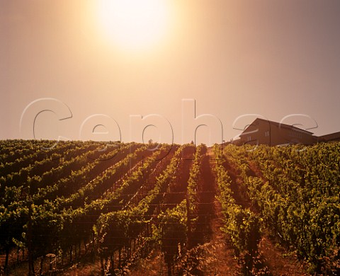 Marimar Torres winery Sebastopol Sonoma Co   California   Green Valley AVA