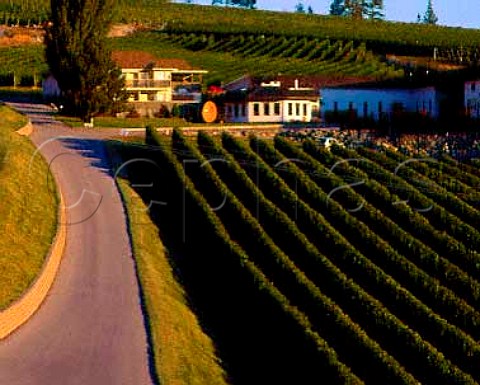 Gehringer Brothers winery and vineyards Oliver   British Columbia Canada  Okanagan Valley
