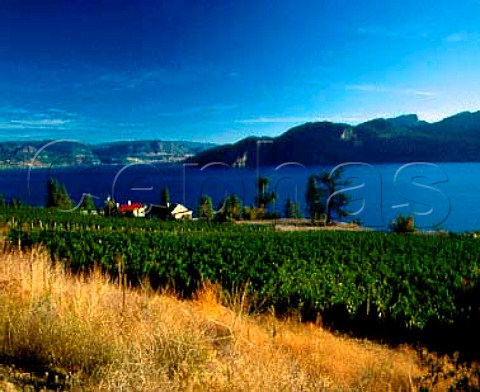 Greata Ranch Vineyards of Cedar Creek Estate   Kelowna British Columbia Canada   Okanagan Valley