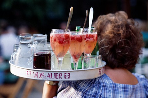 Waitress with tray of drinks in garden   of Heurige HenglHaselbrunner Dbling   Vienna Austria