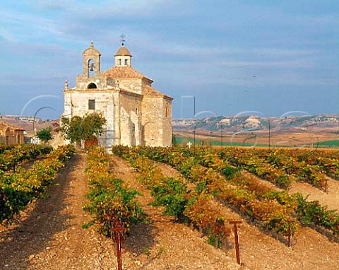 LErmita in vineyard above Pesquera de Duero   Castilla y Len Spain  DO Ribera del Duero