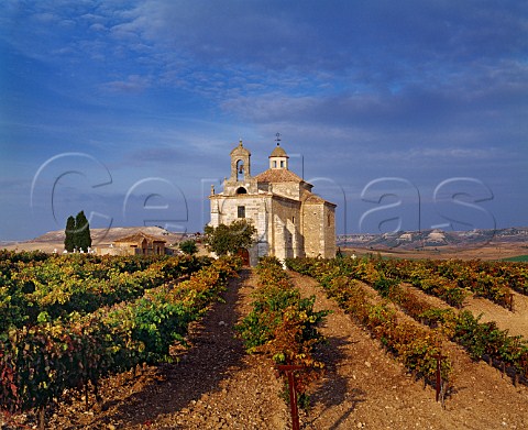 LErmita de San Isidro in vineyard at Pesquera de Duero Castilla y Len Spain DO Ribera del Duero