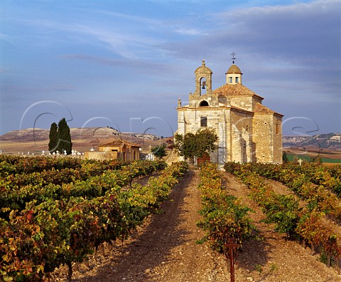 LErmita in vineyard above Pesquera de Duero   Castilla y Len Spain  DO Ribera del Duero