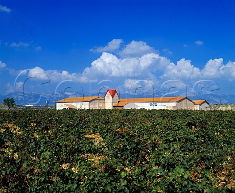 Finca Valpiedra estate of Martnez Bujanda   Cenicero La Rioja Spain    Rioja Alta