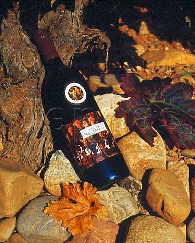 Bottle of Martnez Bujanda Finca Valpiedra 1995  in   its stonecovered vineyard Cenicero La Rioja   Spain   Rioja Alta