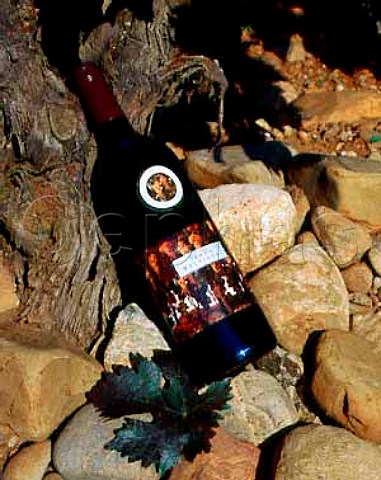 Bottle of Martnez Bujanda Finca Valpiedra 1995    in its stonecovered vineyard Cenicero   La Rioja Spain   Rioja Alta