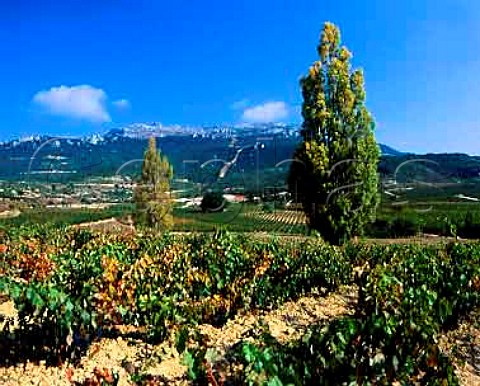 View over the Remelluri estate Labastida   Alava Spain    Rioja Alavesa