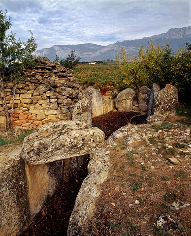 San Martn dolmen amidst the vineyards   near Laguardia Alava Spain   Rioja Alavesa