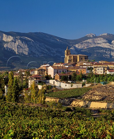 Vineyard below the village of Navaridas with the Sierra de Cantabria in the distance Alava Spain  Rioja Alavesa