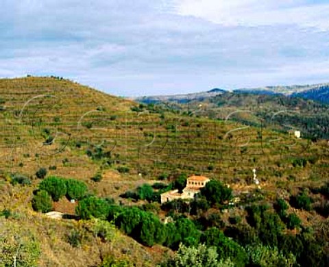 House of Ren Barbier below the terraced vines which   produce the grapes for his Clos Mogador   Gratallops Catalonia Spain   DO Priorato
