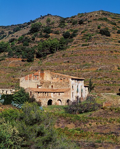 The old house and terraced vineyards on the Mas den Bruno estate of Costers del Siurana Wines made from here are Miserere Garnacha Cabernet Sauvignon Tempranillo Merlot Cariena and Kyrie Xarello Moscatel Garnacha Blanca Gratallops Catalonia Spain Priorato