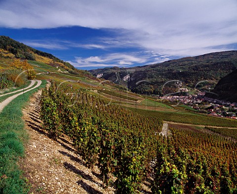 Autumnal vineyards above Cerdon Ain France  Bugey