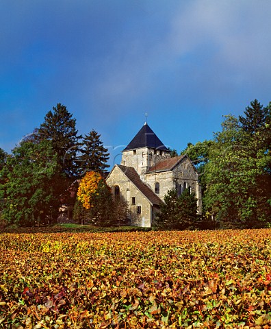 Church in vineyard at cueil on the northern slopes of the Montagne de Reims Marne France  Champagne