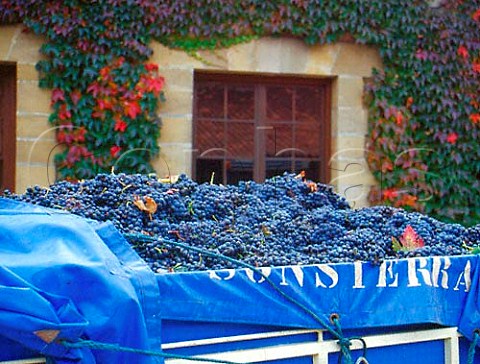 Trailer of harvested grapes arrives at the bodegas   of Remelluri Labastida Alava Spain     Rioja Alavesa