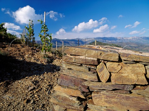 Drystone wall made from the local schist above the Clos lErmita vineyard of Alvaro Palacios  Gratallops Catalonia Spain    Priorato