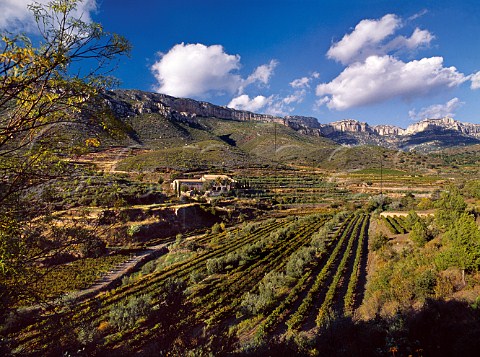 Masa Duch below the Sierra de Montsant Near Scala Dei Catalonia Spain   Priorato
