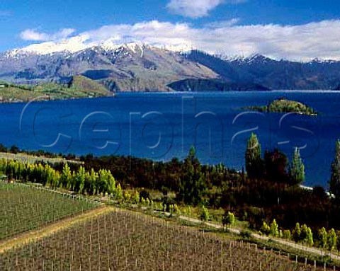 Rippon Vineyards on the shore of Lake Wanaka   with the Buchanan Mountains beyond Wanaka  Central Otago New Zealand