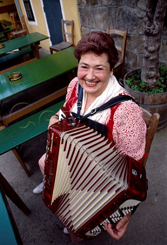 Accordion player at Heurigen Berger   Raimund Grinzing Vienna Austria