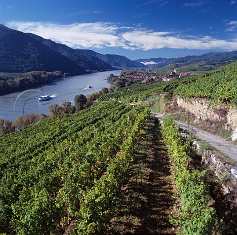 View over Ried Klaus with Ried Achleiten on right above the Danube River at Weissenkirchen   Niedersterreich Austria  Wachau