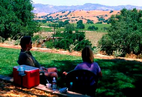 A picnic in the Firestone vineyard in the Santa Ynez   Valley Santa Barbara Co California