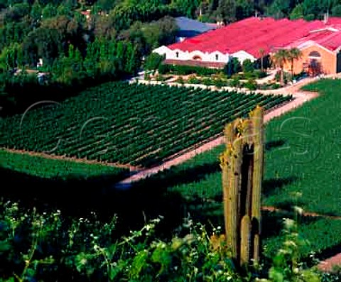 View over the Don Maximiano bodegas of   Errazuriz in the Aconcagua Valley Chile
