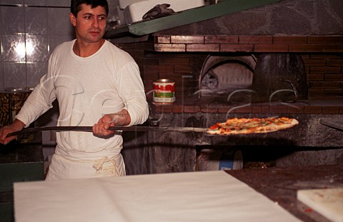 Baker Removing a pizza from the oven  Naples Italy