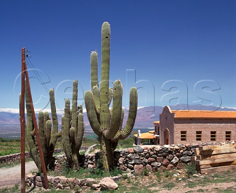 Bodega San Pedro de Yacochuya  owned by Arnoldo Etchart in   partnership with Michel Rolland  at an altitude of   around 2000 metres at Yacochuya near Cafayate Salta   province Argentina