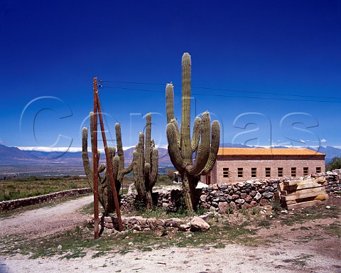 Bodega San Pedro de Yacochuya  owned by Arnoldo Etchart in   partnership with Michel Rolland  at an altitude of   around 2000 metres at Yacochuya near Cafayate Salta   province Argentina